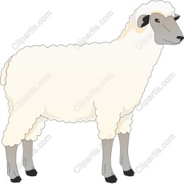 Charming Sheep