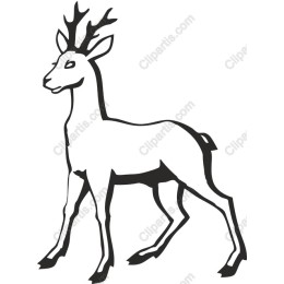 Elegant Deer