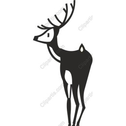 Elegant Deer