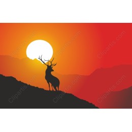 Majestic Stag Sunset