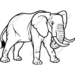 Majestic Elephant