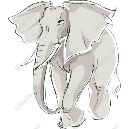 Majestic Elephant