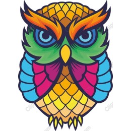 Vibrant Owl