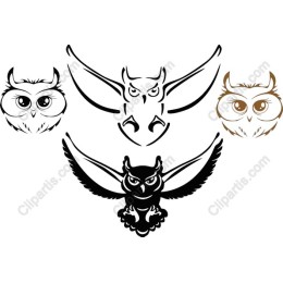 Owl Collection