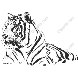 Majestic Tiger