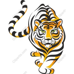 Majestic Tiger