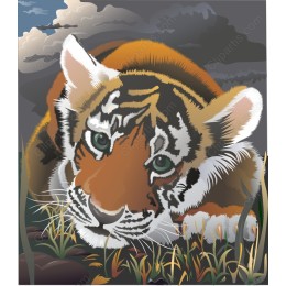 Majestic Bengal Tiger