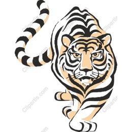 Fierce Tiger