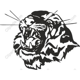 Fierce Tiger Head