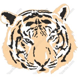 Fierce Tiger