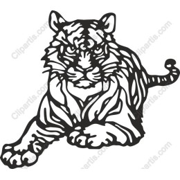 Fierce Tiger