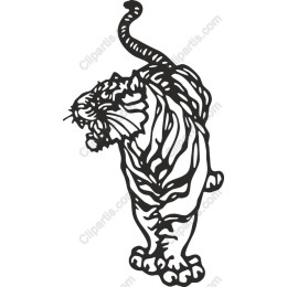 Fierce Tiger