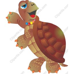 Cheerful Turtle