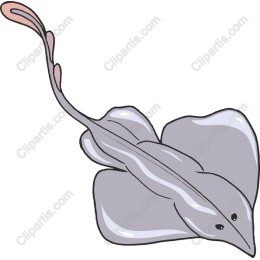 Stingray - High-Quality