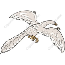 Ethereal White Bird