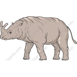 Rhino