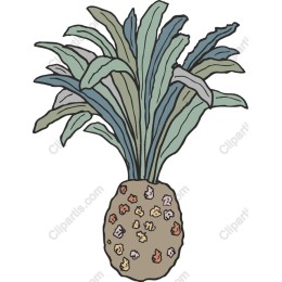 Tropical Pineapple