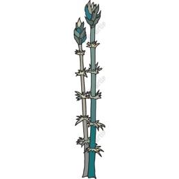 Elegant Plant Stalk