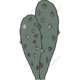 Charming Cactus