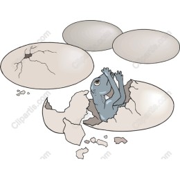 Frog Hatching