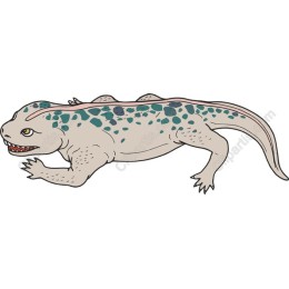 Whimsical Amphibious Creature