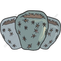 Hand-Drawn Textured Pots Trio