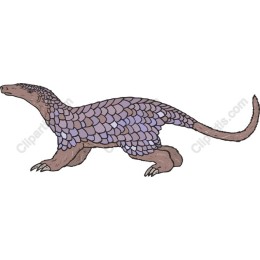 Pangolin