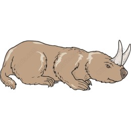 Woolly Rhinoceros