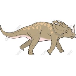 Triceratops