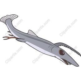 Prehistoric Shark