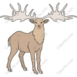 Majestic Stag