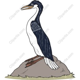 Majestic Bird