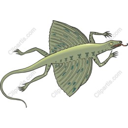 Prehistoric Flying Lizard