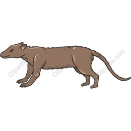 Charming Brown Animal
