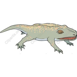 Prehistoric Amphibian