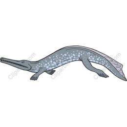 Mosasaurus Vintage
