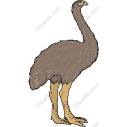 Emu