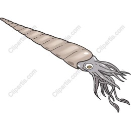 Unique Squid