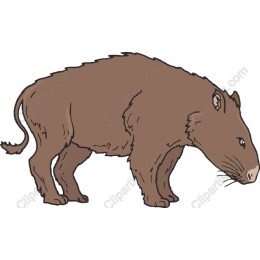 Hand-Drawn Capybara