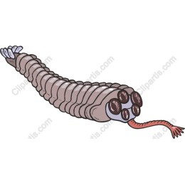 Whimsical Worm Creature