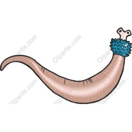 Whimsical Unique Creature