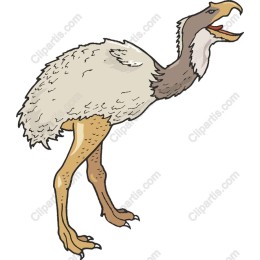 Charming Emu