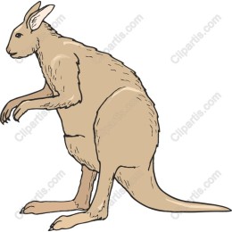 Kangaroo Whimsy