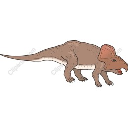 Triceratops