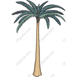 Tropical Palm Tree