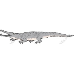 Prehistoric Crocodile