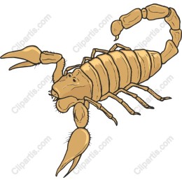Scorpion