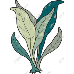 Lush Green Leaves