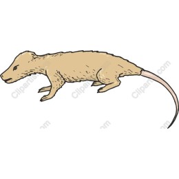 Stylized Small Mammal