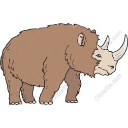 Unique Rhinoceros-Bison Hybrid